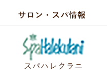サロン・スパ情報